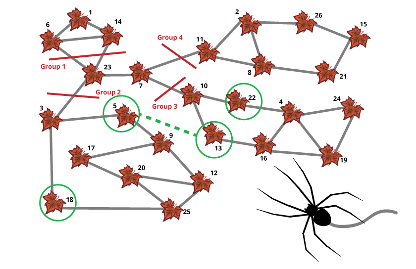 Illustration of the solutions with numbered leaves connected by lines representing the spider web. A detailed description of the solution follows in the text presented in the explanation section.